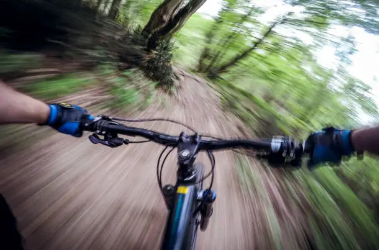 Helmet Cam Catches Biker’s Wild Escape—But the “Beast” Wasn’t What It Seemed